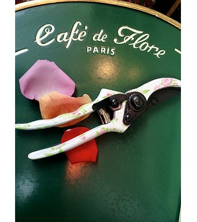 Paris’te çiçek kokusu - Resim : 3