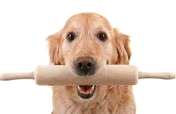 Diyabetik köpeklere özel tarif - Resim : 1